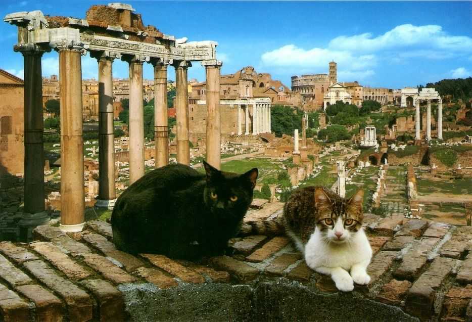 италия