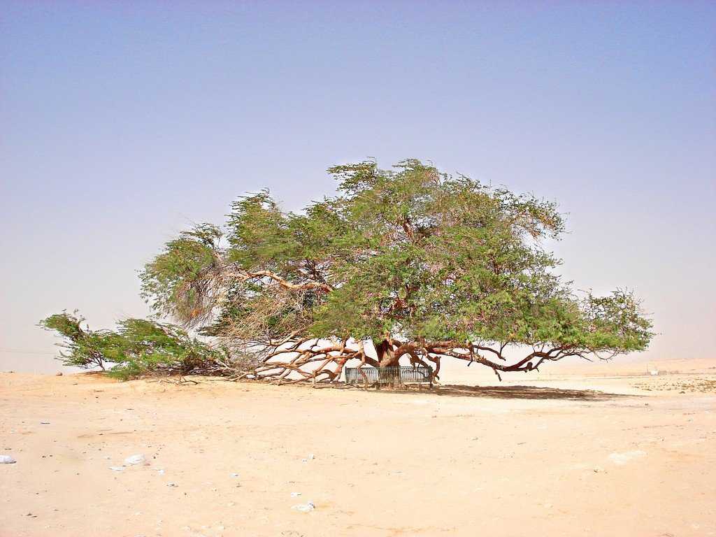 Бахрейн