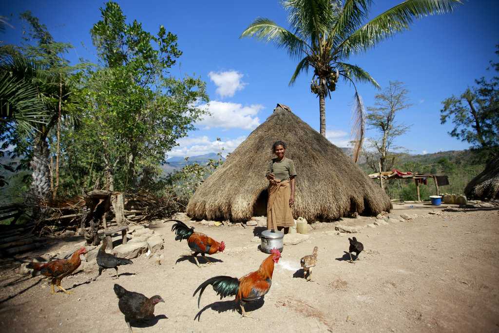 Восточный Тимор 