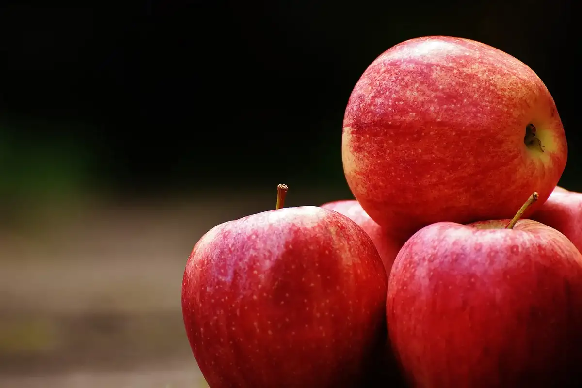 فوائد تناول التفاح صباحًا